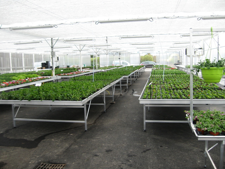 horticulture - tables de production fixes